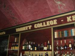 PUB TRINITY COLLEGE Bucuresti 31.jpg